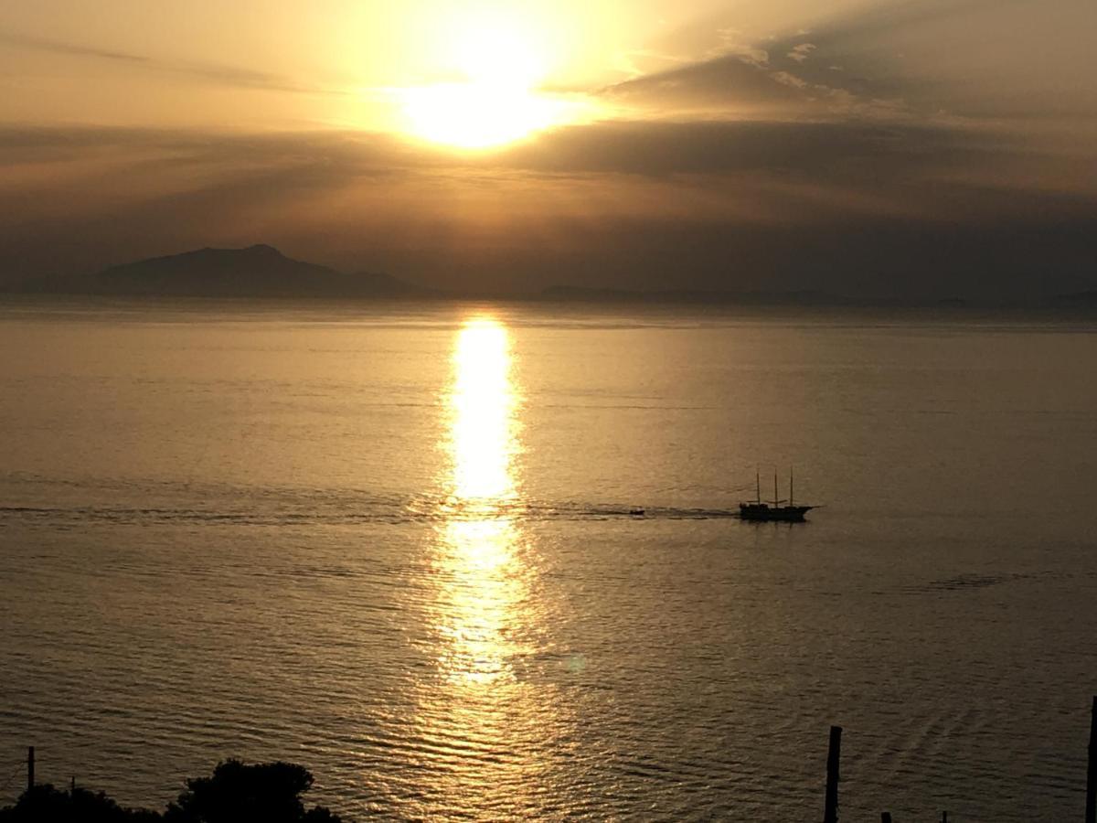 Villa D'Amare Capri View Massa Lubrense Eksteriør bilde